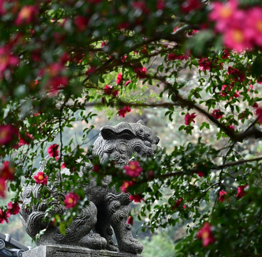 神社の番人
