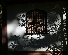 紅葉、の影