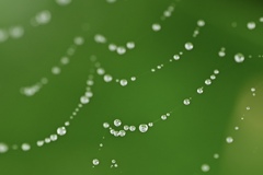 雨上がり