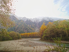 上高地④