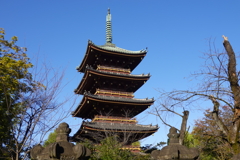 上野の五重塔