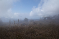 山頂は雲の中