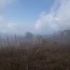 山頂は雲の中