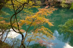 奥多摩の渓谷にて