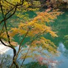 奥多摩の渓谷にて