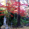とある寺の境内にて