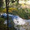 水面の山影