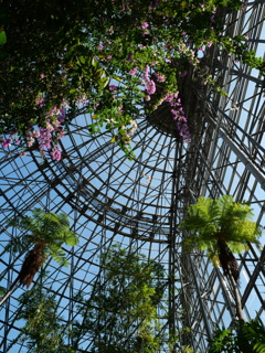 熱帯植物園