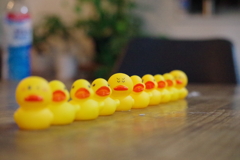 ひよこの軍隊　ズームレンズ