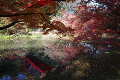 紅葉九景