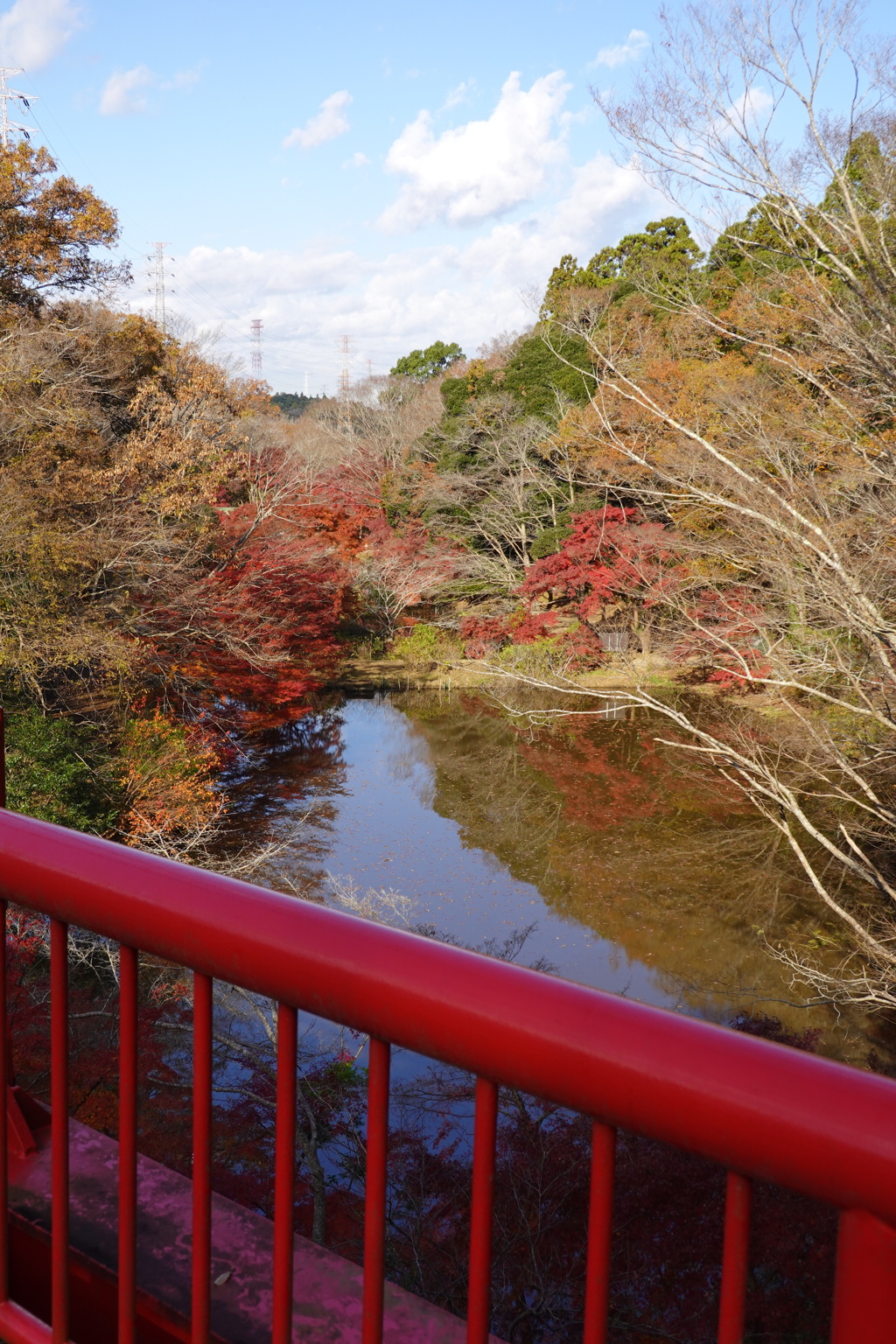 紅葉一景
