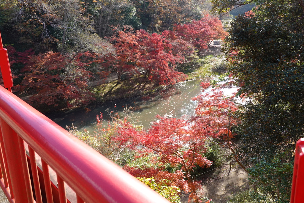 紅葉三景