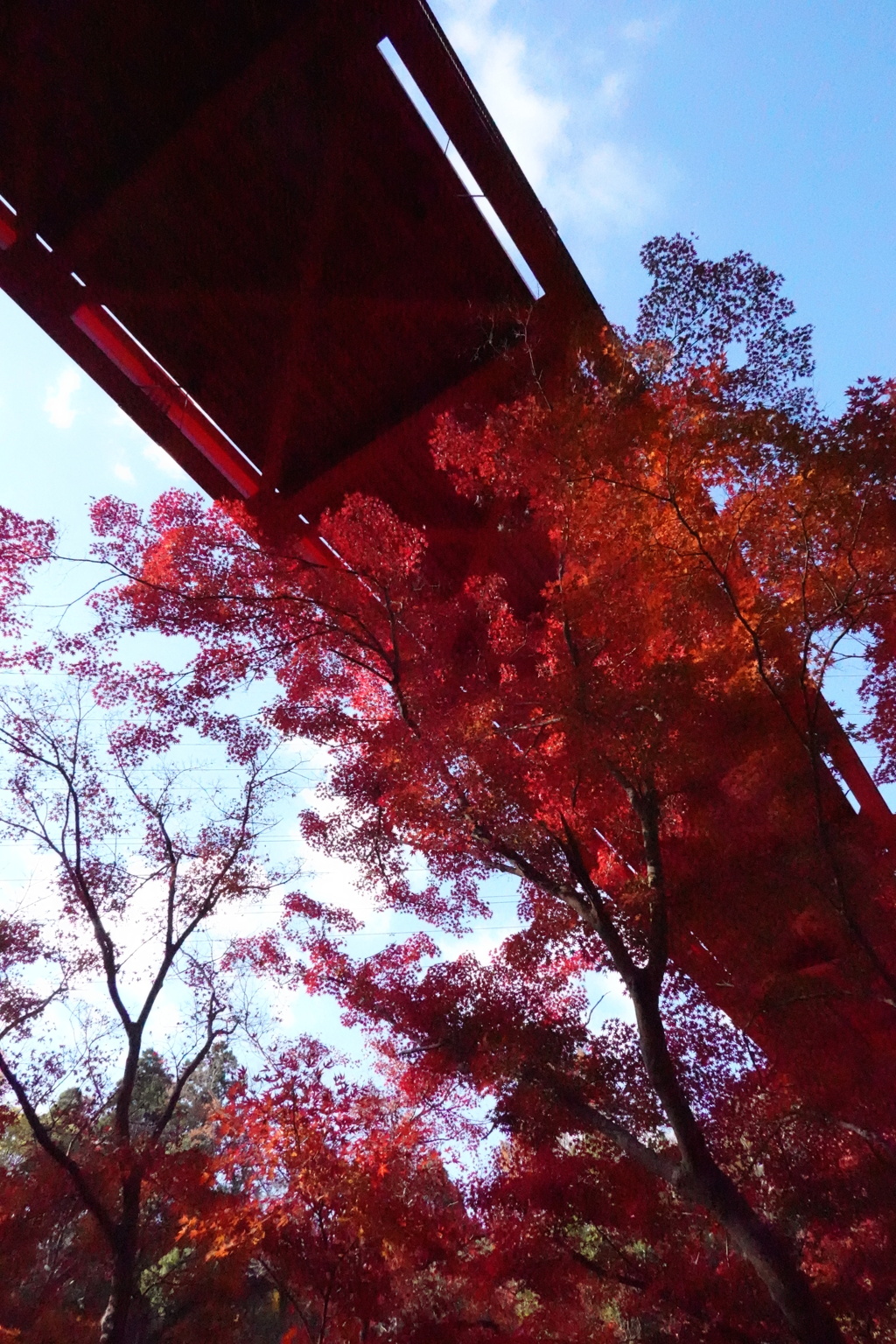 紅葉八景