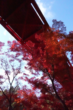 紅葉八景