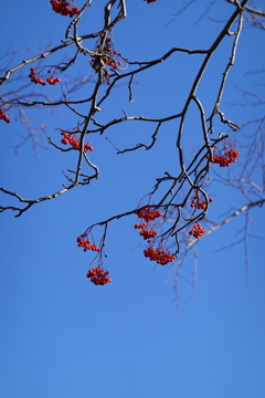 空に