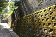日差し
