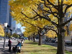 都会の紅葉