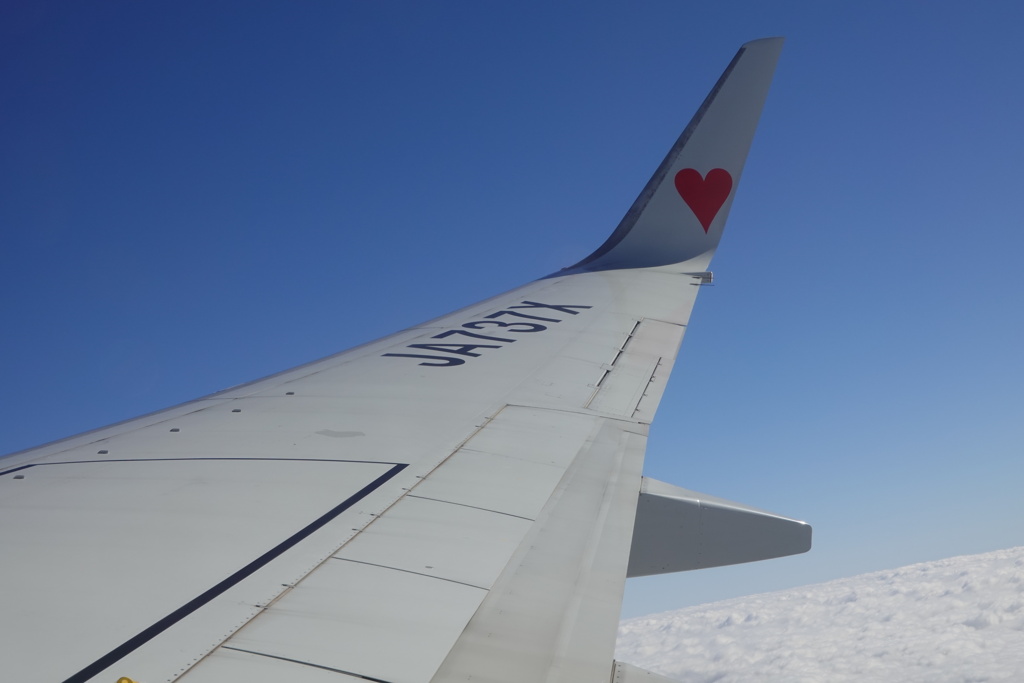 旅機上