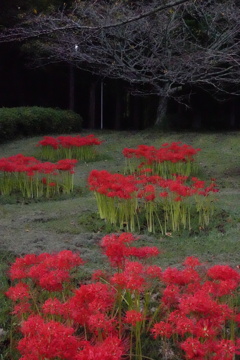 公園にて