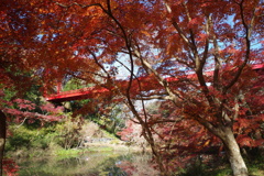 紅葉十景