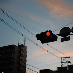寂しげな