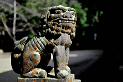 櫻井神社の狛犬