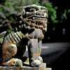 櫻井神社の狛犬