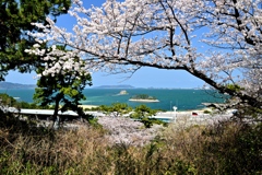 西公園から志賀島を望む