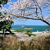 西公園から志賀島を望む