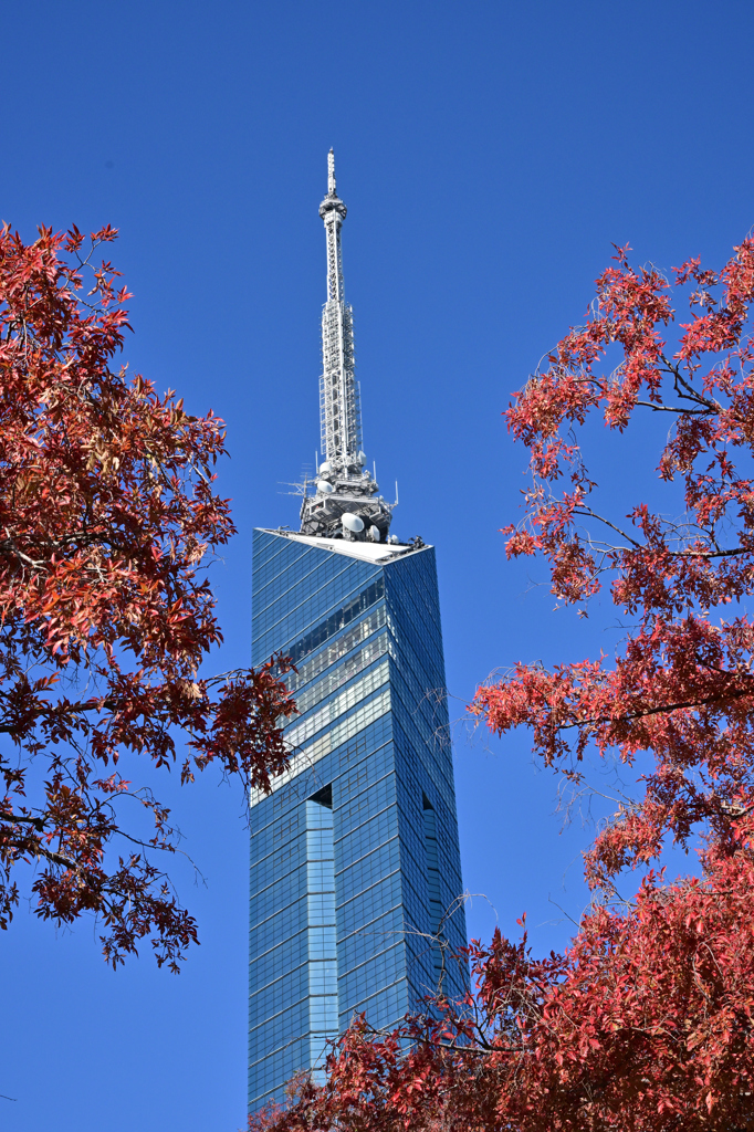 紅葉と福岡タワー