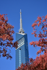 紅葉と福岡タワー