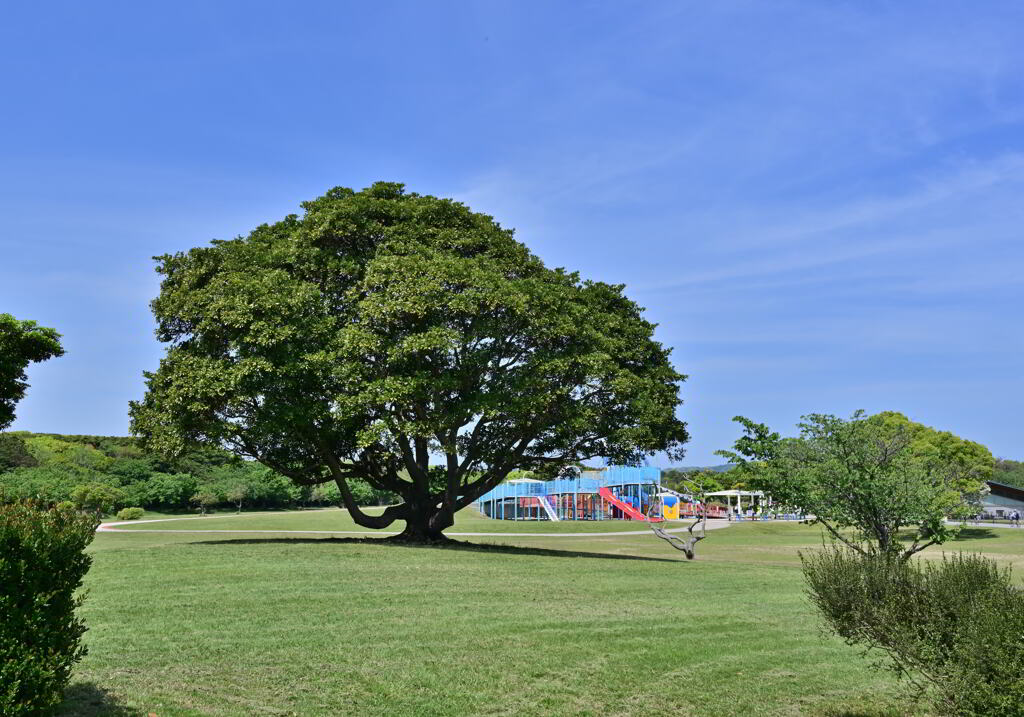 海の中道海浜公園