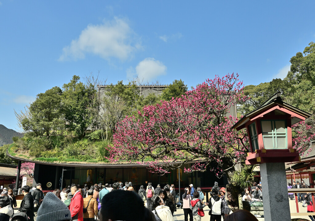 太宰府天満宮