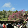 太宰府天満宮