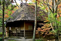 友泉亭公園の茶室　如水庵