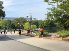 大濠公園　日曜日の朝