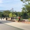大濠公園　日曜日の朝