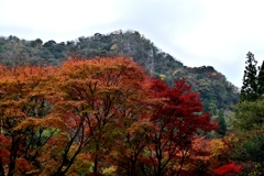 深耶馬渓の紅葉１