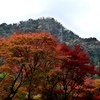 深耶馬渓の紅葉１