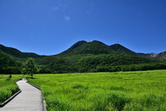 タデ原湿原