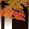 呑山観音寺の紅葉２