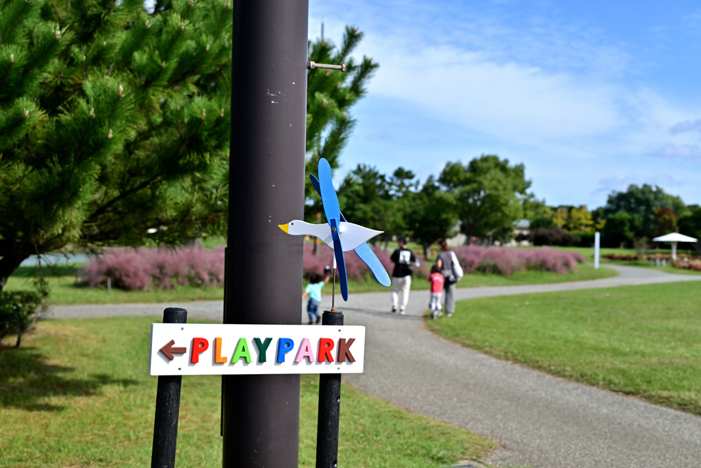 海の中道海浜公園