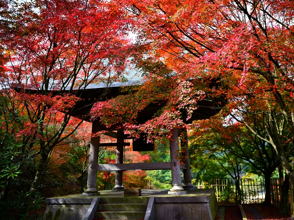 梵鐘と紅葉