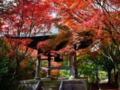 梵鐘と紅葉