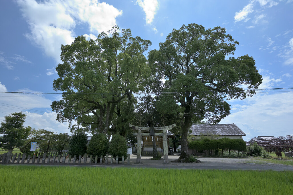 藤吉天満宮の夏