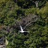 大濠公園の冬
