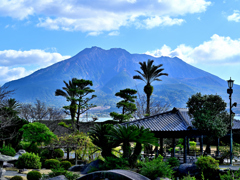 仙厳園から眺める桜島