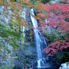 箕面の滝