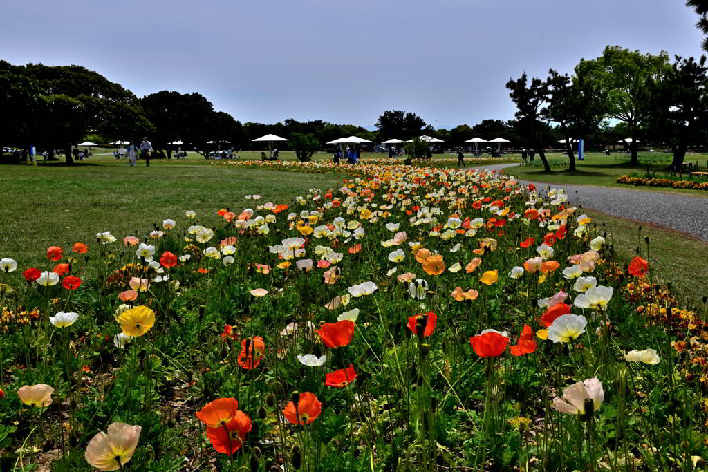 海の中道海浜公園