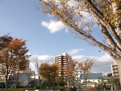 秋